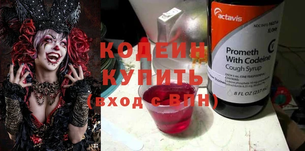 шишки Заволжск