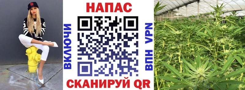 omg tor  купить  сайты  Сунжа  Марихуана планчик 